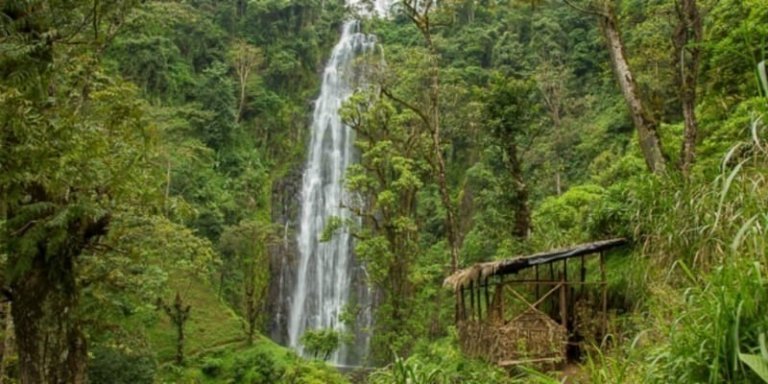 Materuni Waterfalls & Coffee Tour from Moshi