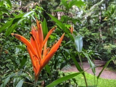 Paronella Park Private Half-Day Tour from Cairns