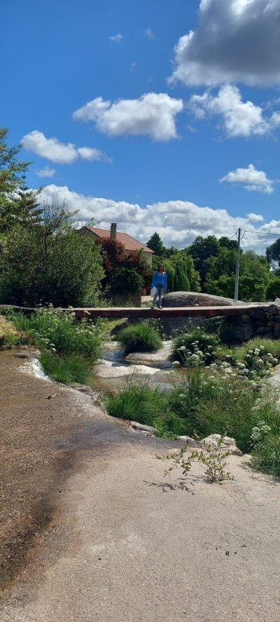 Guided levadas tour of Ocresa, Louriçal do Campo