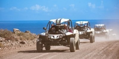 Boat Trips & Charters