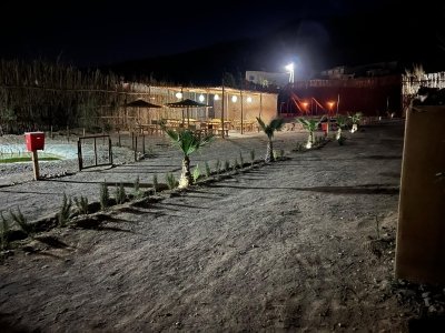 Best Seller : camel ride in Tamri river & Tea