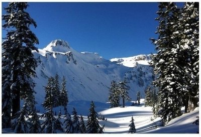 From Seattle - Enchanting Mt Baker and Cascades Tour in SUV
