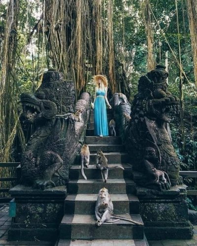 Bali : Best All Inclusive Ubud Trip in one Day