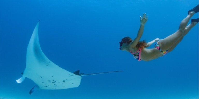 Nusa Penida: unforgettable snorkeling adventure with 4 spots
