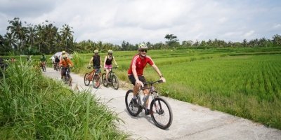 Bike Tours & Rentals