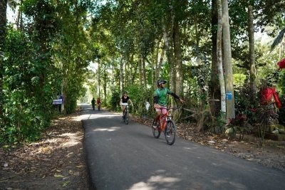 Half Day Cycling Tour