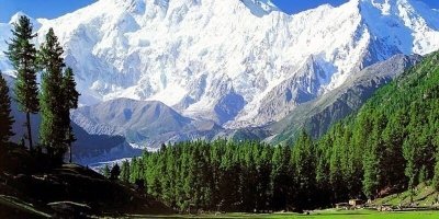 Majestic Kashmir Tour Package - 6 Days