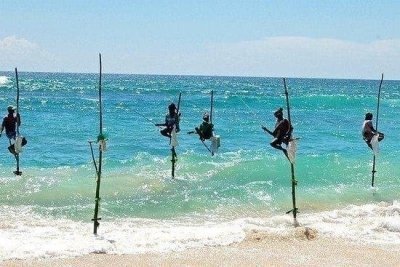 Sri Lanka local Tour Package - Exclusive Private 10 Days Trip