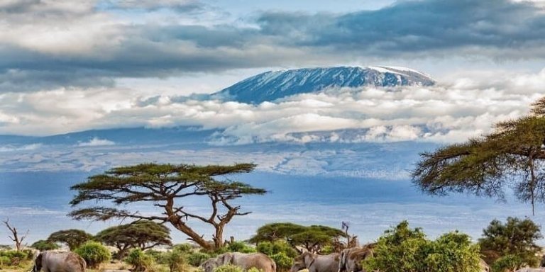 Kilimanjaro Trek by Machame Route - 6 Days Hiking Trip
