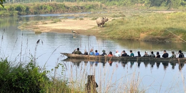 3-Day Chitwan National Park Jungle Safari Package with Transportation