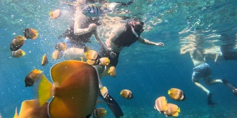 Blue Lagoon Snorkeling East Bali All Inclusive