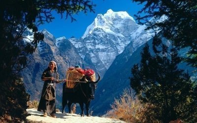 16 days Everest Base camp trek