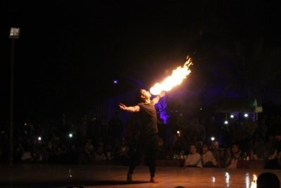 Premium Dubai Desert Safari With Bbq Dinner