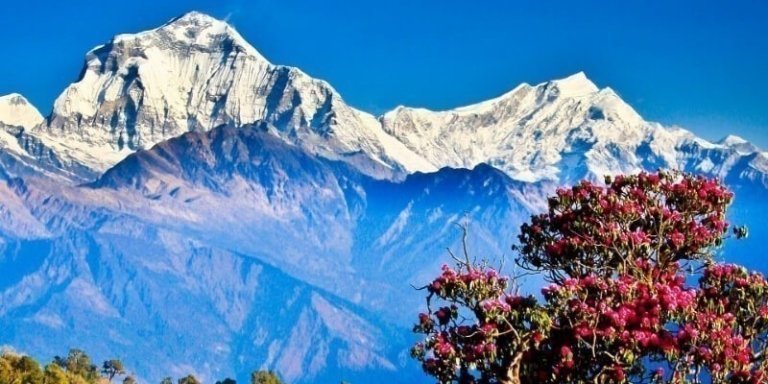 Annapurna Poon Hill Trek - 6 Days Package