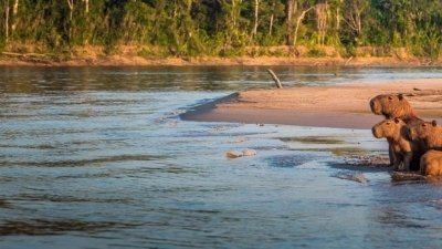 Tour Manu Park Extreme Trip 5 days