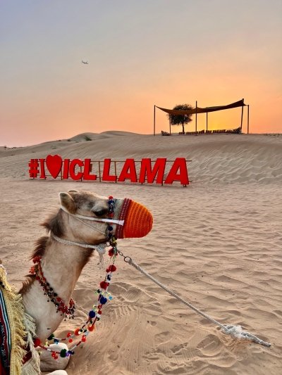 ICL Lama Platinum Desert Safari with BBQ Dinner in Dubai
