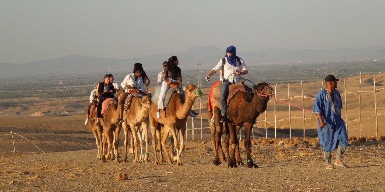 Agafay Desert, Camel Ride, and Berber Dinner
