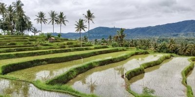 Trekking, Hiking & Riding Tours