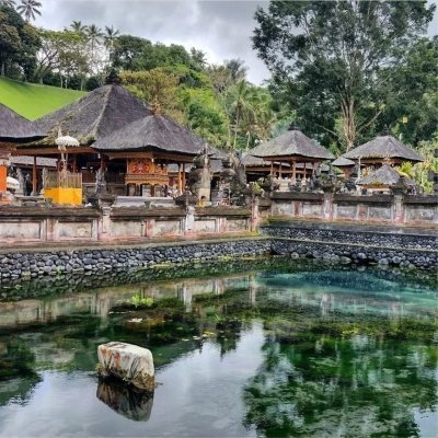 Exploring Ubud on a day tour with rice terraces and waterfalls