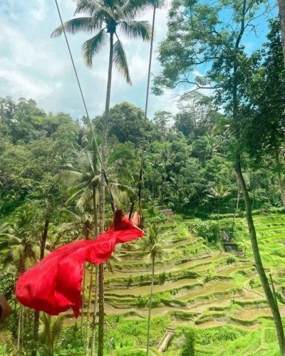 Bali ubud : monkey forest, waterfalls, temple