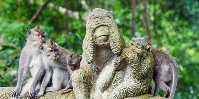 Bali ubud : monkey forest, waterfalls, temple