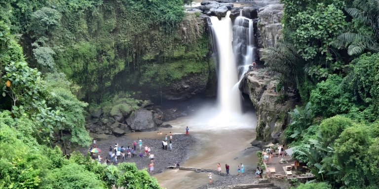 Bali Full-Day Tour: All About Ubud Village Trip Experience