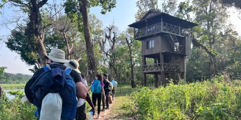 Jungle Towernight Stay In Chitwan National Park ,Nepal-2 Nights 3 Days