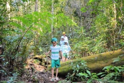 1 Day Trekking+Sup/Kayak Paddling+Picnic Lunch