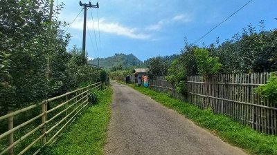 Bromo : Guided dirt bike 1 day excursion