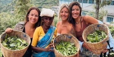 Multi-Day Tours & Cruises