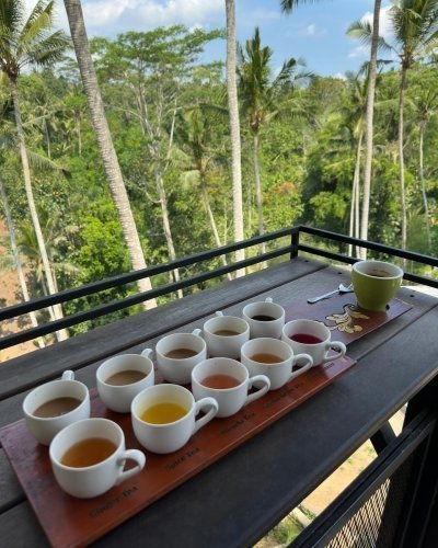 North Bali: Ulun Danu, Banyumala Waterfall and Jatiluwih