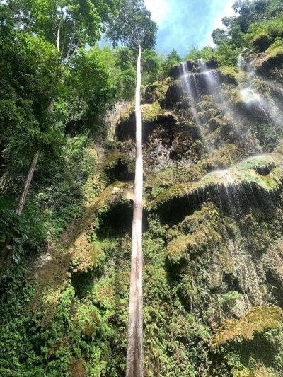 Cebu Swim with the whaleshark, Sumilon Island & Tumalog falls