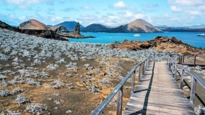 Bartolome Island Day Trip from Puerto Ayora Bartolome Island Day Trip from Puerto Ayora