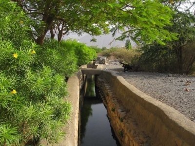 Nizwa Ancient City - Private Day Tour