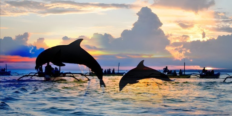 Bali Dolphin Watching Sunrise Tour in Lovina Beach