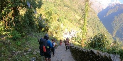 Multi-Day Tours & Cruises