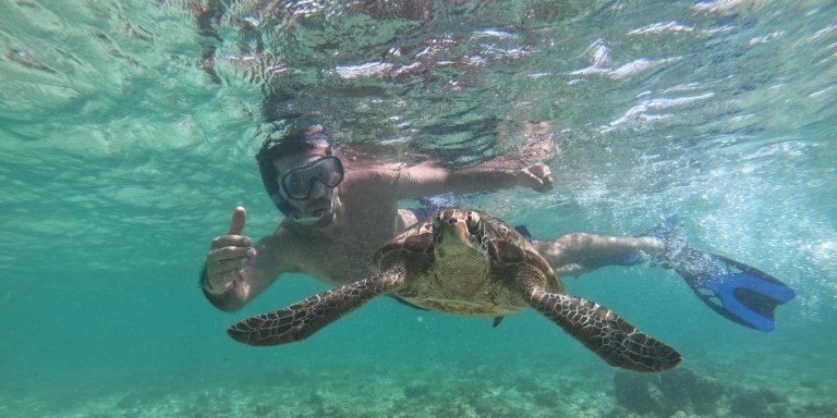 Cebu Kawasan Swimming & Moalboal Sardines & Turtles