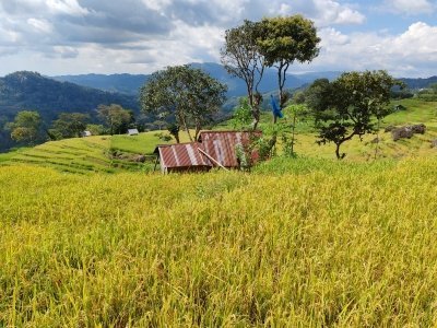 Explore the Authentic Of Ruteng at Golorenda Walking Trail