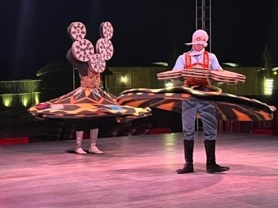 Private Desert Safari Dubai Tour With bbq Dinner. Sandboarding.