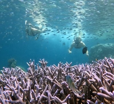 Lombok Pink Beach & Snorkelling Trip