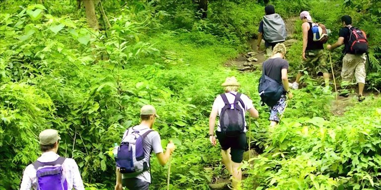 Bali Jungle Trekking with Lunch and Return Hotel Transfer