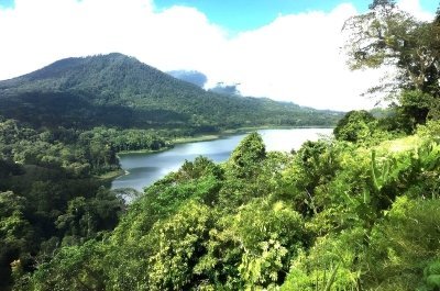 Bali Jungle Trekking with Lunch and Return Hotel Transfer
