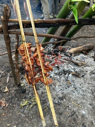 Chiang Rai: Jungle Adventure-Group Trekking & Bamboo Cooking