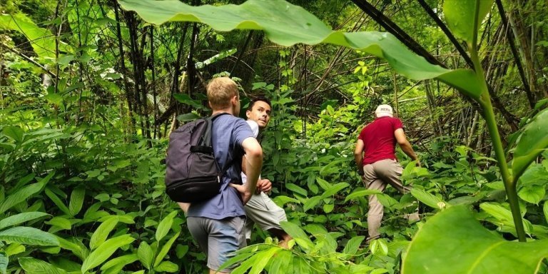 Chiang Rai: Jungle Adventure-Group Trekking & Bamboo Cooking