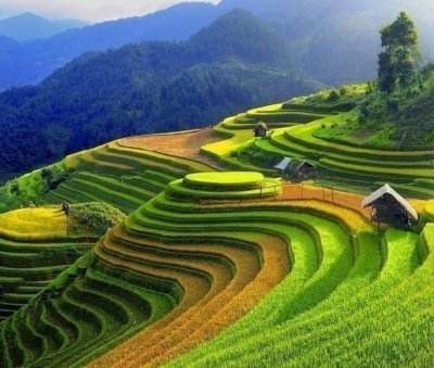 Middle Road to Nghia Lo – Mu Cang Chai(5 days and 5 nights)