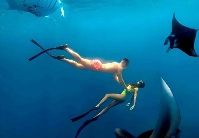 Snorkeling in Wall Point, Gamat Bay and Manta Bay: Nusa Penida Island