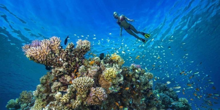 Bali Seaside Secrets: Snorkeling Marvel at Blue Lagoon & Tanjung Jepun