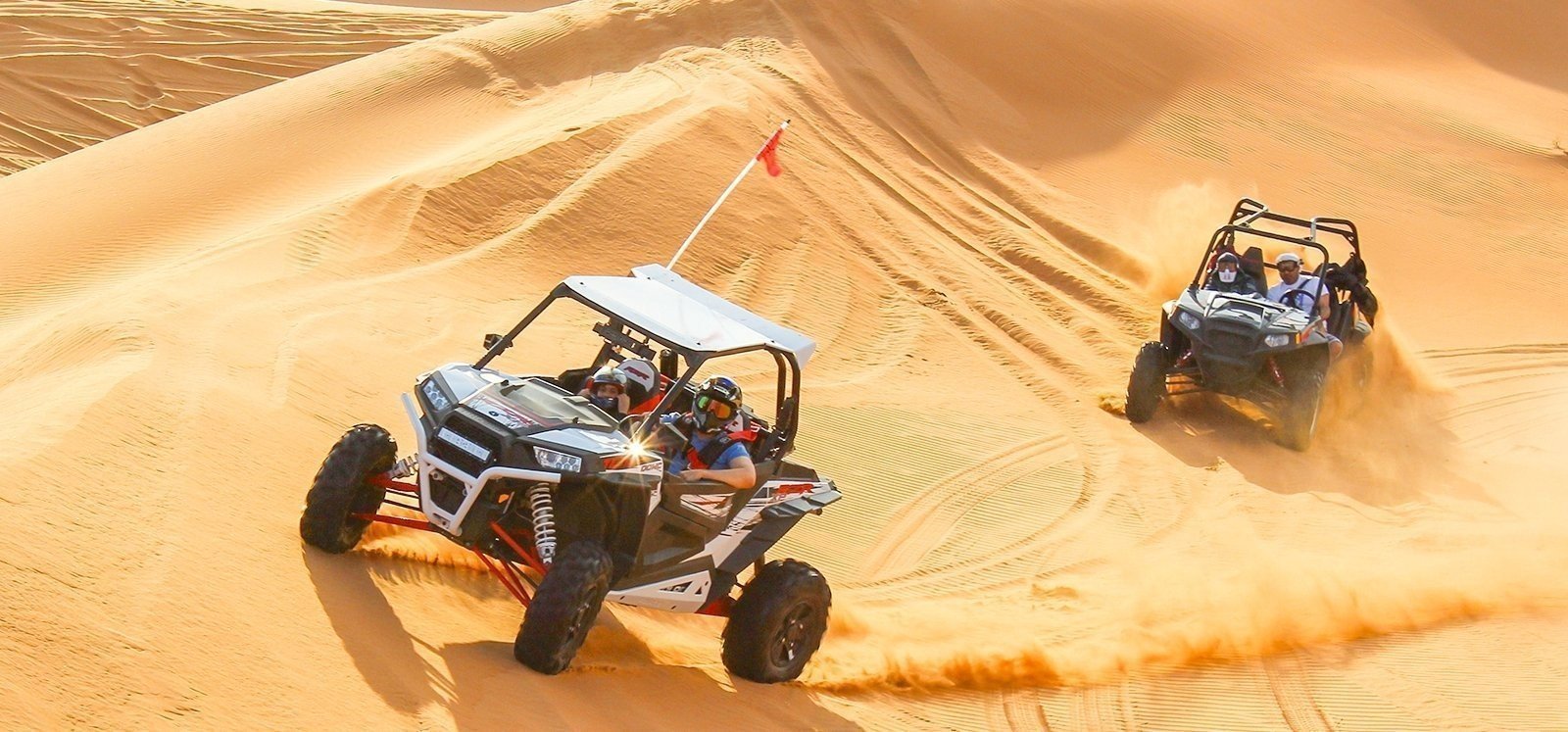 Desert buggy sales