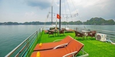 Boat Trips & Charters