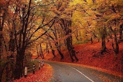 Premium Wine Tour-Three Top Wineries In One Day